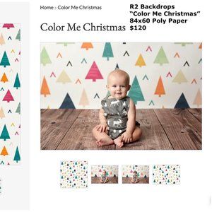 R2 Backdrops Professional Background for Photography "Color Me Christmas" 84x60